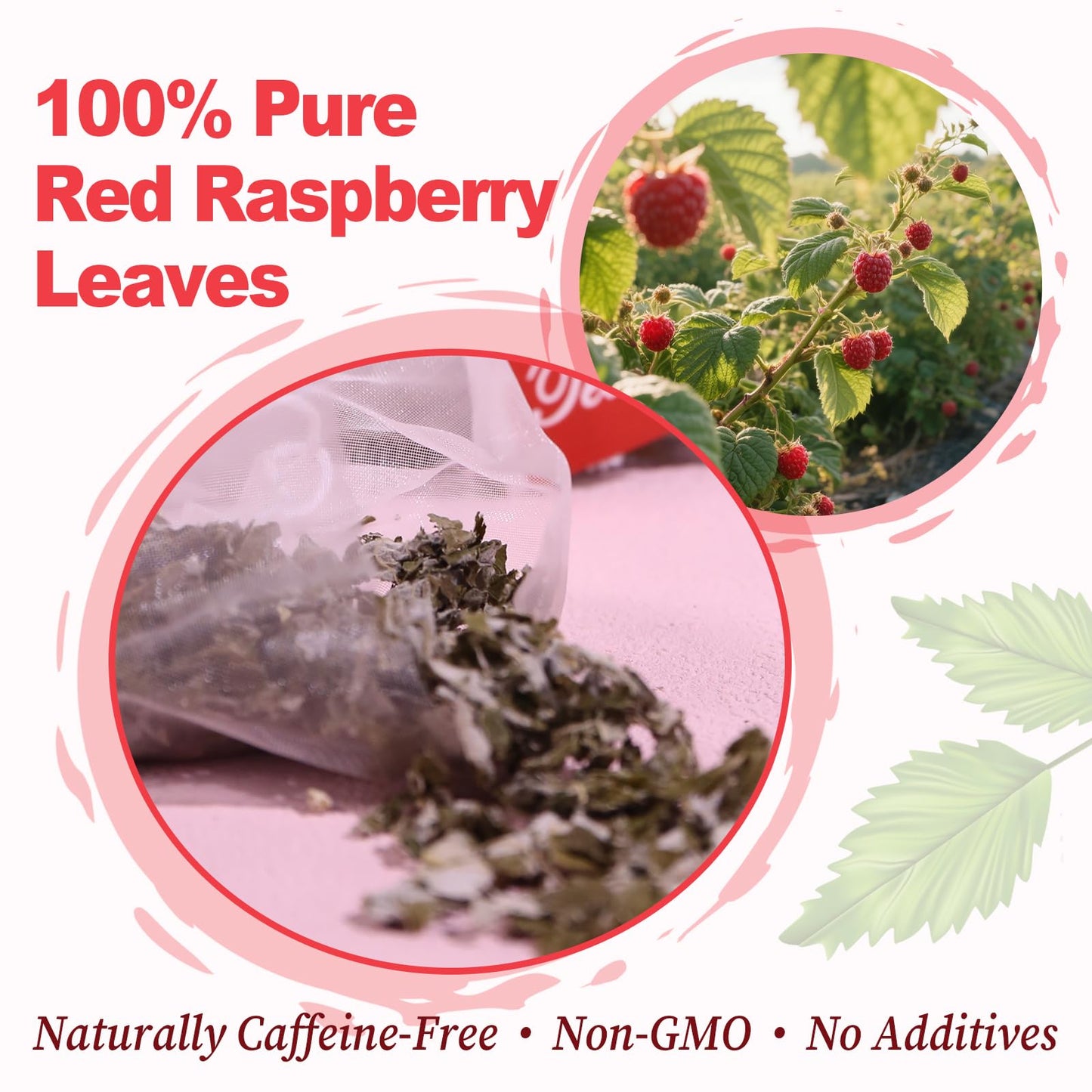 FullChea - Dandelion Leaf & Root Tea bags, 50 Teabags, 2g/bag - Natural Dandelion Herbal Tea for Liver & Kidney Health - Non-GMO - Caffeine-free - Support Digestion & Boost Immune System