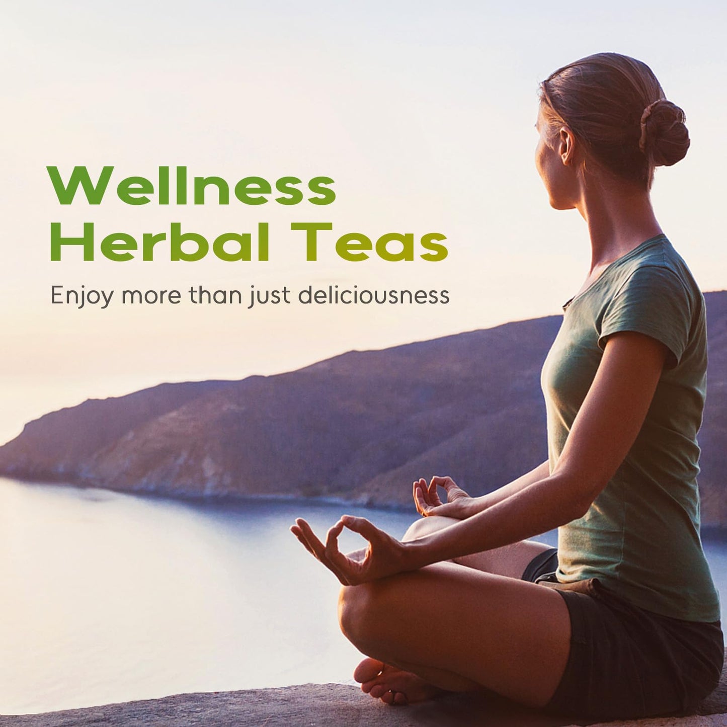 FullChea - Soursop Leaves Tea Bags, 40 Teabags - Premium Soursop Graviola Leaves - Hojas De Guanabana Tea - Non-GMO - Caffeine-free - Improve Digestion, Support Healthy Skin & Sleep