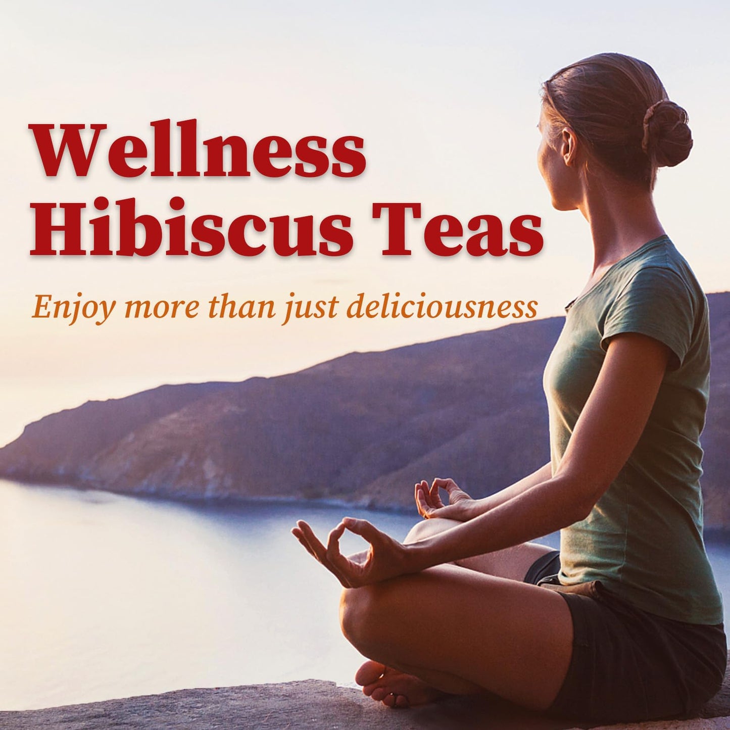 FullChea - Soursop Leaves Tea Bags, 40 Teabags - Premium Soursop Graviola Leaves - Hojas De Guanabana Tea - Non-GMO - Caffeine-free - Improve Digestion, Support Healthy Skin & Sleep