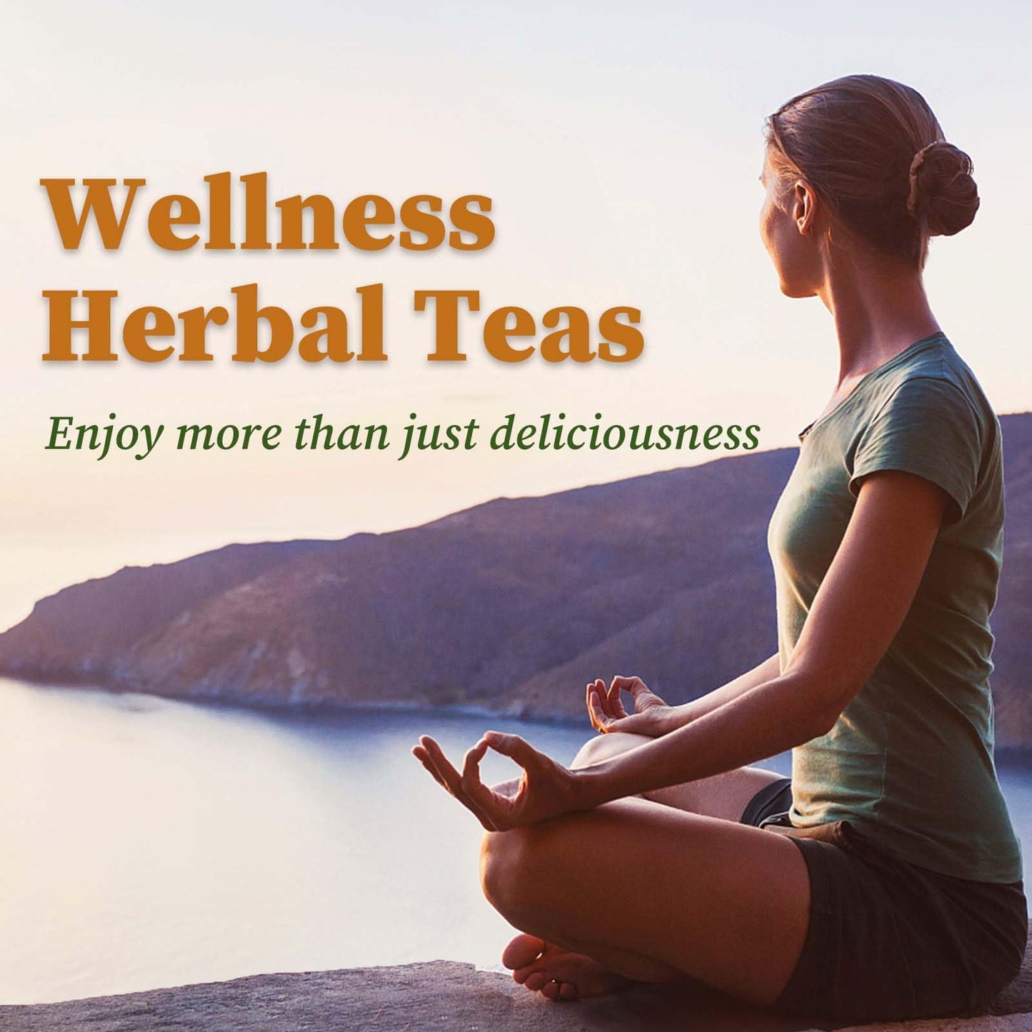 FullChea - Dandelion Leaf & Root Tea bags, 50 Teabags, 2g/bag - Natural Dandelion Herbal Tea for Liver & Kidney Health - Non-GMO - Caffeine-free - Support Digestion & Boost Immune System