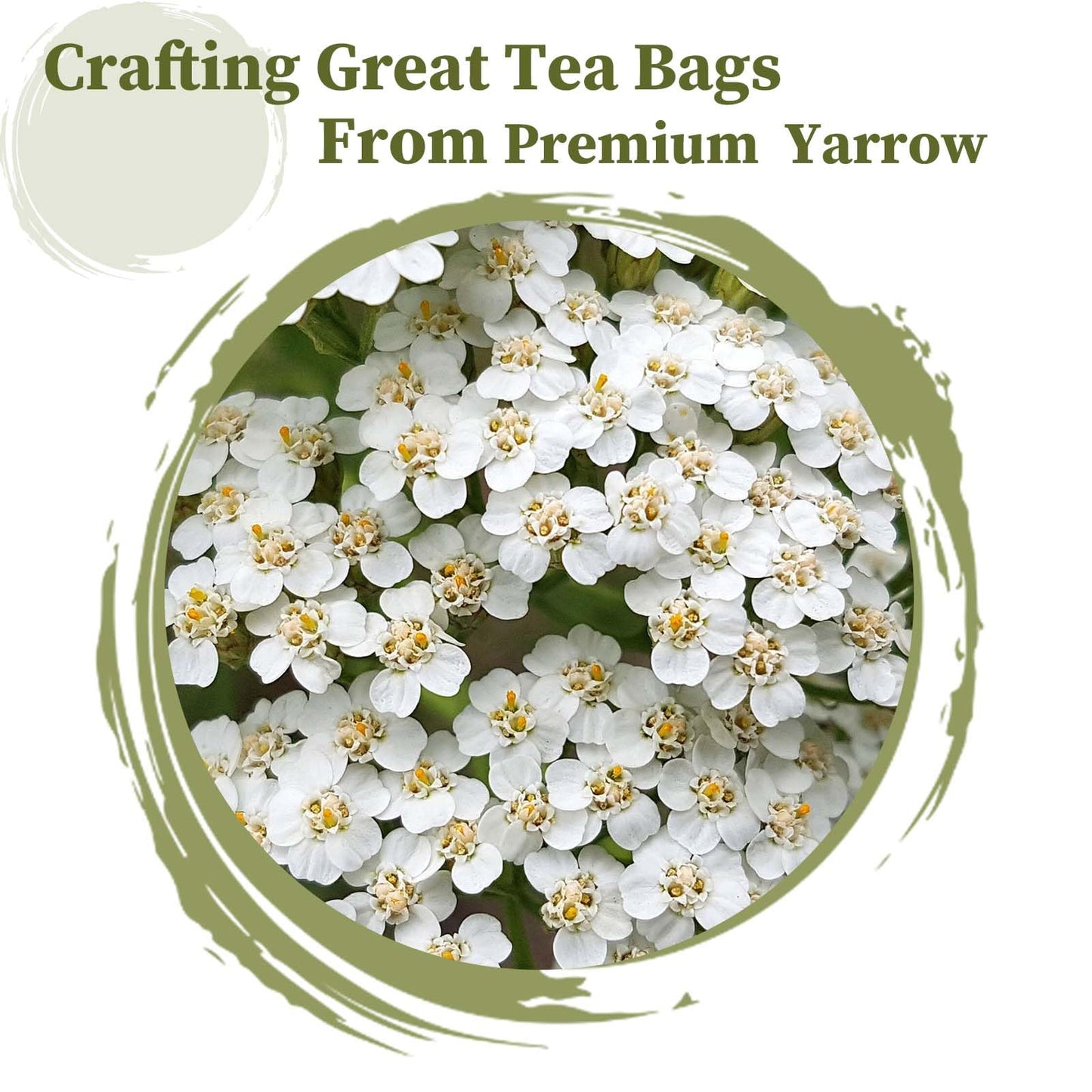 FullChea - Dandelion Leaf & Root Tea bags, 50 Teabags, 2g/bag - Natural Dandelion Herbal Tea for Liver & Kidney Health - Non-GMO - Caffeine-free - Support Digestion & Boost Immune System